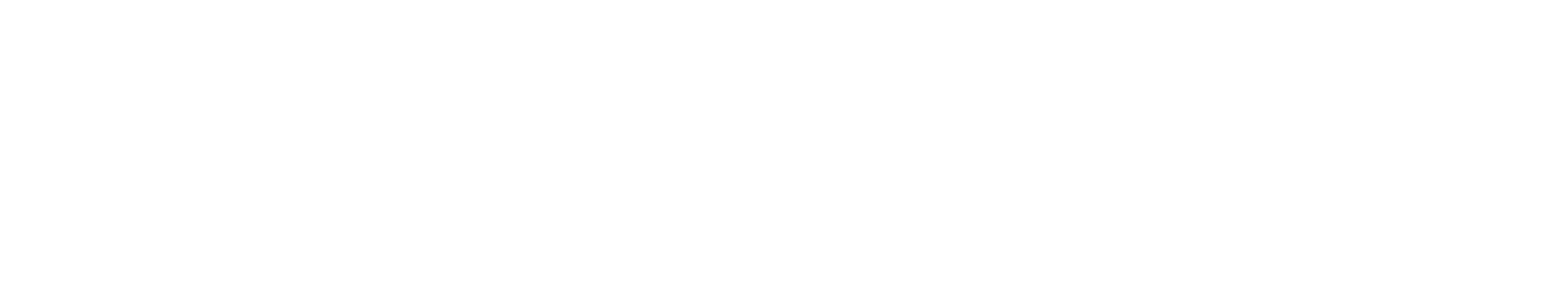 Anouconcept